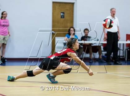 Thumbnail 1 in Out of Door Academy @ Tampa Bay HEAT photogallery.