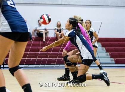 Thumbnail 3 in Out of Door Academy @ Tampa Bay HEAT photogallery.