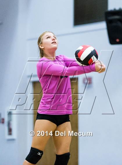 Thumbnail 1 in Out of Door Academy @ Tampa Bay HEAT photogallery.