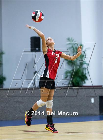 Thumbnail 1 in Out of Door Academy @ Tampa Bay HEAT photogallery.