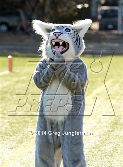 Thumbnail 3 in Calistoga @ St. Vincent de Paul (Homecoming) photogallery.