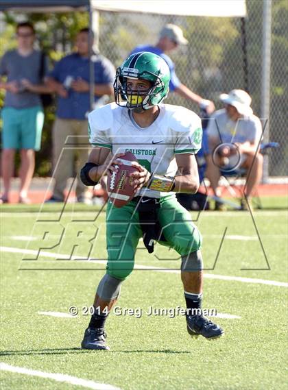 Thumbnail 3 in Calistoga @ St. Vincent de Paul (Homecoming) photogallery.