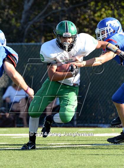 Thumbnail 1 in Calistoga @ St. Vincent de Paul (Homecoming) photogallery.