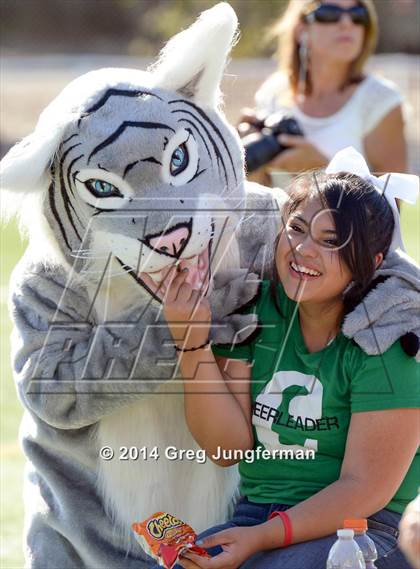 Thumbnail 1 in Calistoga @ St. Vincent de Paul (Homecoming) photogallery.