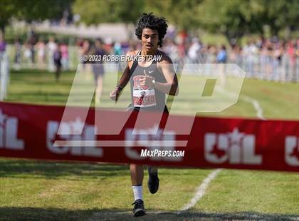 Thumbnail 1 in UIL Cross Country 4A Finals (5K) photogallery.