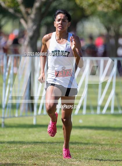 Thumbnail 3 in UIL Cross Country 4A Finals (5K) photogallery.