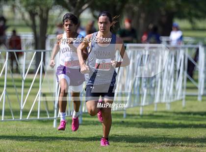 Thumbnail 2 in UIL Cross Country 4A Finals (5K) photogallery.