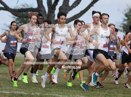 Thumbnail 1 in UIL Cross Country 4A Finals (5K) photogallery.