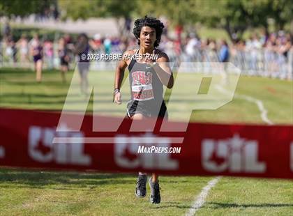 Thumbnail 2 in UIL Cross Country 4A Finals (5K) photogallery.