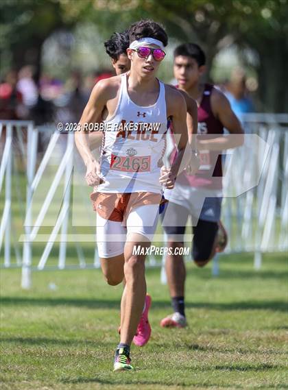 Thumbnail 3 in UIL Cross Country 4A Finals (5K) photogallery.