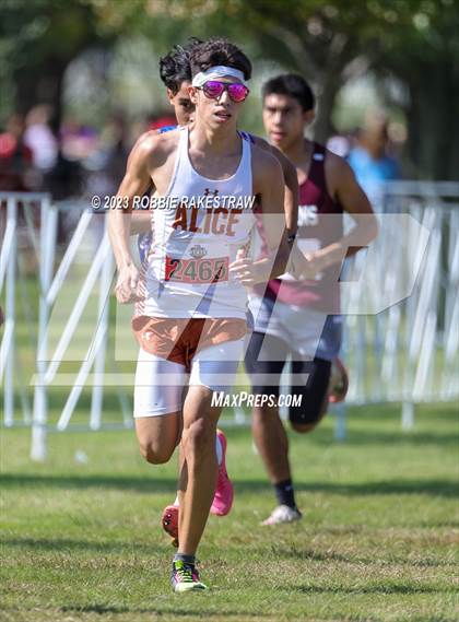 Thumbnail 1 in UIL Cross Country 4A Finals (5K) photogallery.