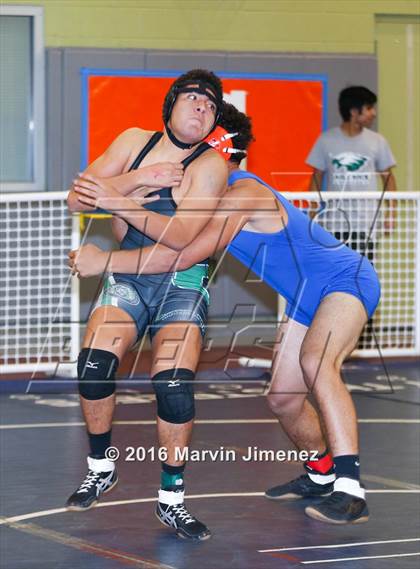 Thumbnail 1 in CIF LA City Section Wrestling Championships  photogallery.