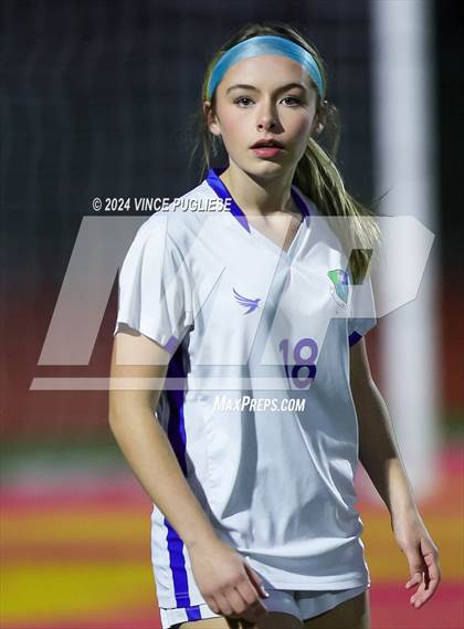 Thumbnail 3 in Mountain View @ Gig Harbor (WIAA 3A Section Playoffs) photogallery.