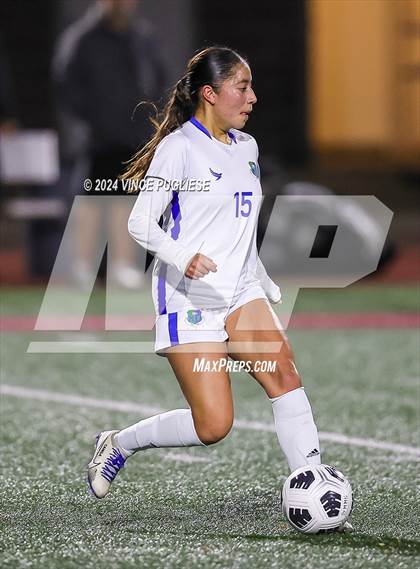 Thumbnail 2 in Mountain View @ Gig Harbor (WIAA 3A Section Playoffs) photogallery.