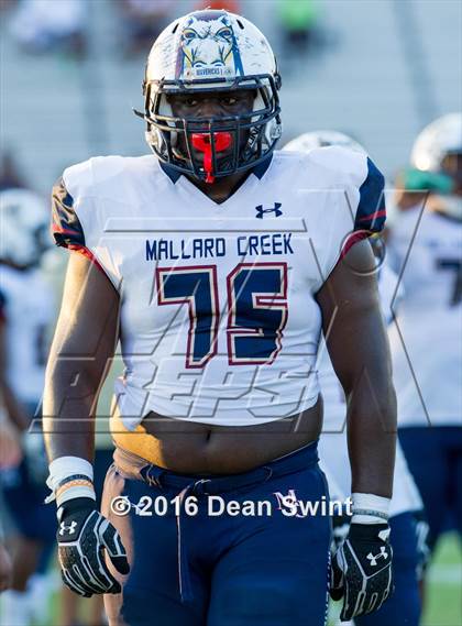 Thumbnail 2 in Mallard Creek @ South Pointe photogallery.