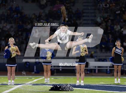 Thumbnail 3 in Hamshire-Fannett @ West Orange-Stark photogallery.