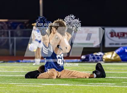 Thumbnail 1 in Hamshire-Fannett @ West Orange-Stark photogallery.