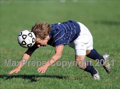 Thumbnail 2 in Staples @ Warde photogallery.