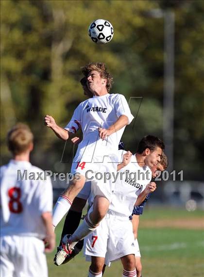 Thumbnail 3 in Staples @ Warde photogallery.