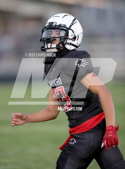 Thumbnail 2 in Sabino @ Sahuaro photogallery.