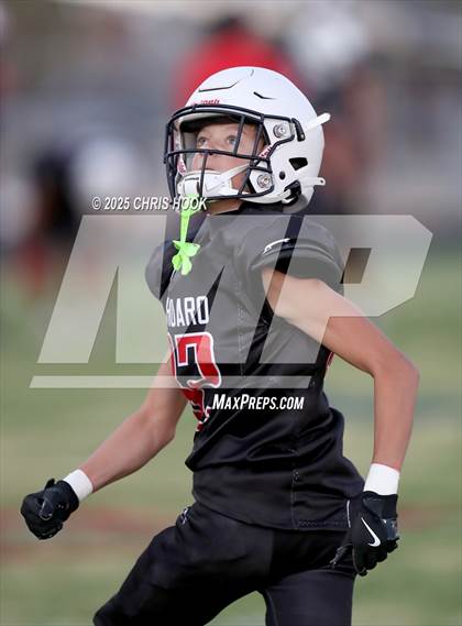 Thumbnail 2 in Sabino @ Sahuaro photogallery.
