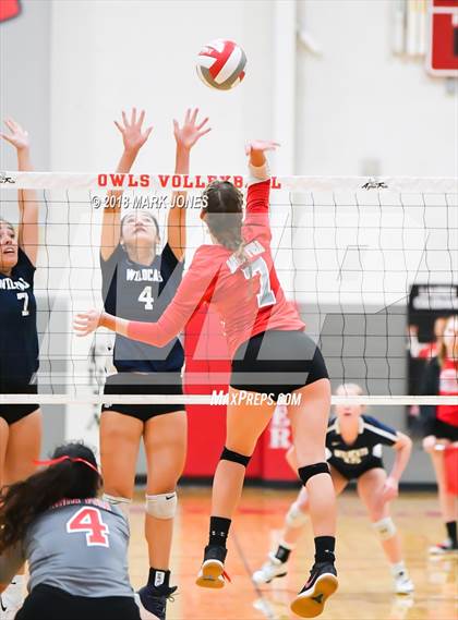 Thumbnail 1 in Willow Canyon @ Agua Fria photogallery.