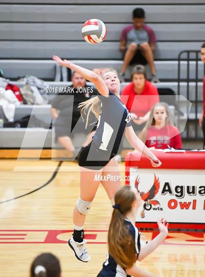 Thumbnail 2 in Willow Canyon @ Agua Fria photogallery.