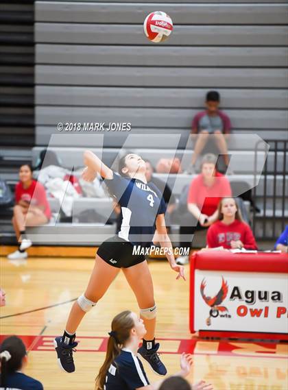 Thumbnail 1 in Willow Canyon @ Agua Fria photogallery.
