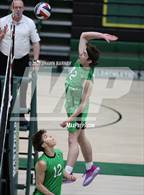 Photo from the gallery "Carmel @ Westfield"