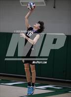 Photo from the gallery "Carmel @ Westfield"