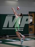 Photo from the gallery "Carmel @ Westfield"