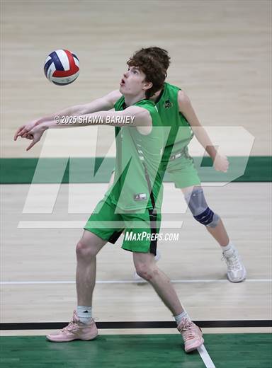 null - Photo 51