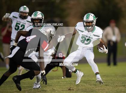 Thumbnail 3 in Myers Park @ David W. Butler photogallery.