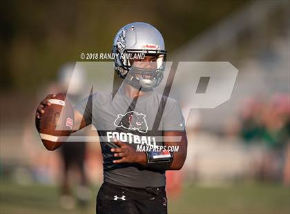 Thumbnail 3 in Myers Park @ David W. Butler photogallery.