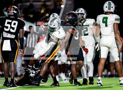 Thumbnail 3 in Plaquemine @ Brusly photogallery.