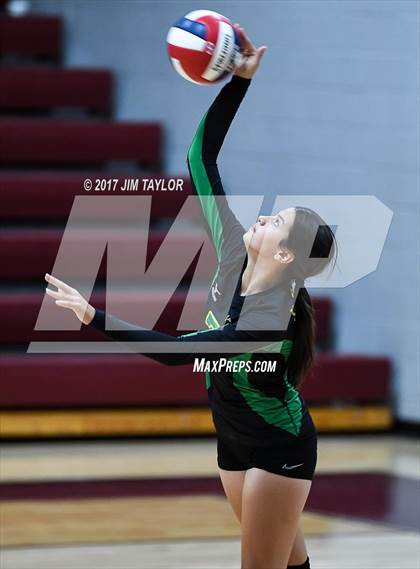 Thumbnail 3 in JV Dublin @ Millsap photogallery.