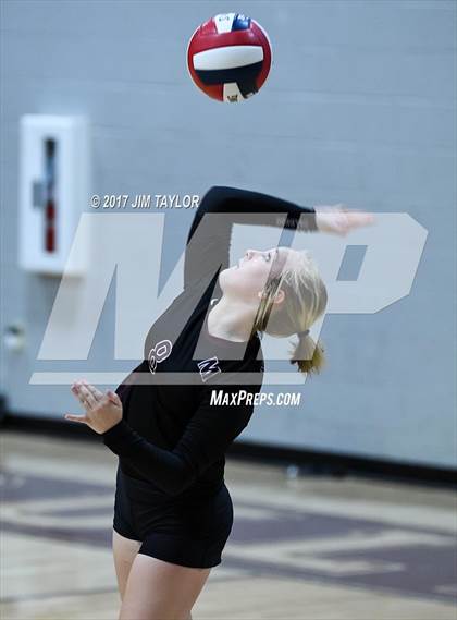 Thumbnail 1 in JV Dublin @ Millsap photogallery.