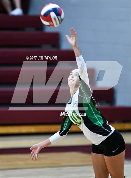 Thumbnail 1 in JV Dublin @ Millsap photogallery.