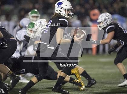 Thumbnail 3 in Woodinville vs. Sumner (WIAA 4A Semifinal) photogallery.