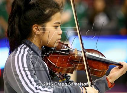 Thumbnail 1 in St. Francis vs. Castro Valley (CIF NorCal Regional D1 Final) photogallery.