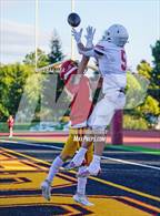 Photo from the gallery "St. Ignatius College Preparatory @ Jesuit"