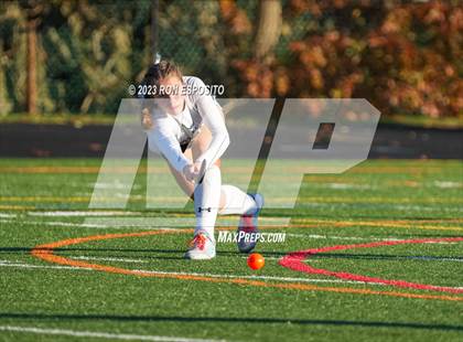 Thumbnail 1 in Iroquois vs Vestal (NYSPHSAA Class B Final)  photogallery.