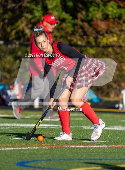 Thumbnail 2 in Iroquois vs Vestal (NYSPHSAA Class B Final)  photogallery.