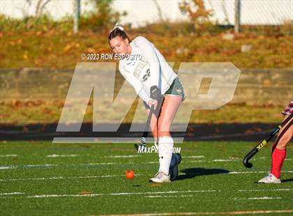 Thumbnail 1 in Iroquois vs Vestal (NYSPHSAA Class B Final)  photogallery.