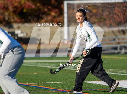 Thumbnail 3 in Iroquois vs Vestal (NYSPHSAA Class B Final)  photogallery.