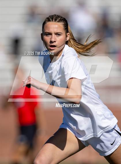 Thumbnail 2 in Ponderosa @ Highlands Ranch photogallery.