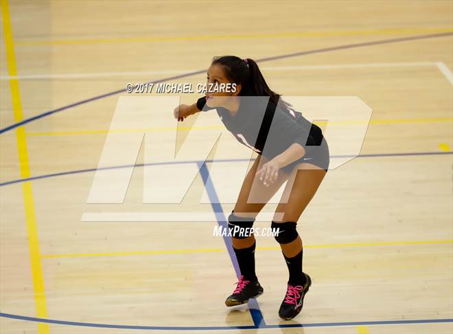 null - Photo 41