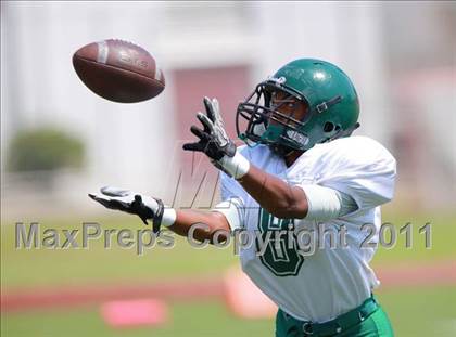 Thumbnail 1 in JV: Lincoln @ Point Loma photogallery.