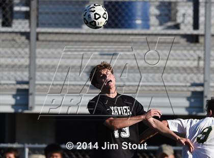 Thumbnail 2 in Xavier @ Notre Dame-West Haven photogallery.