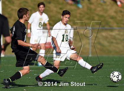 Thumbnail 2 in Xavier @ Notre Dame-West Haven photogallery.